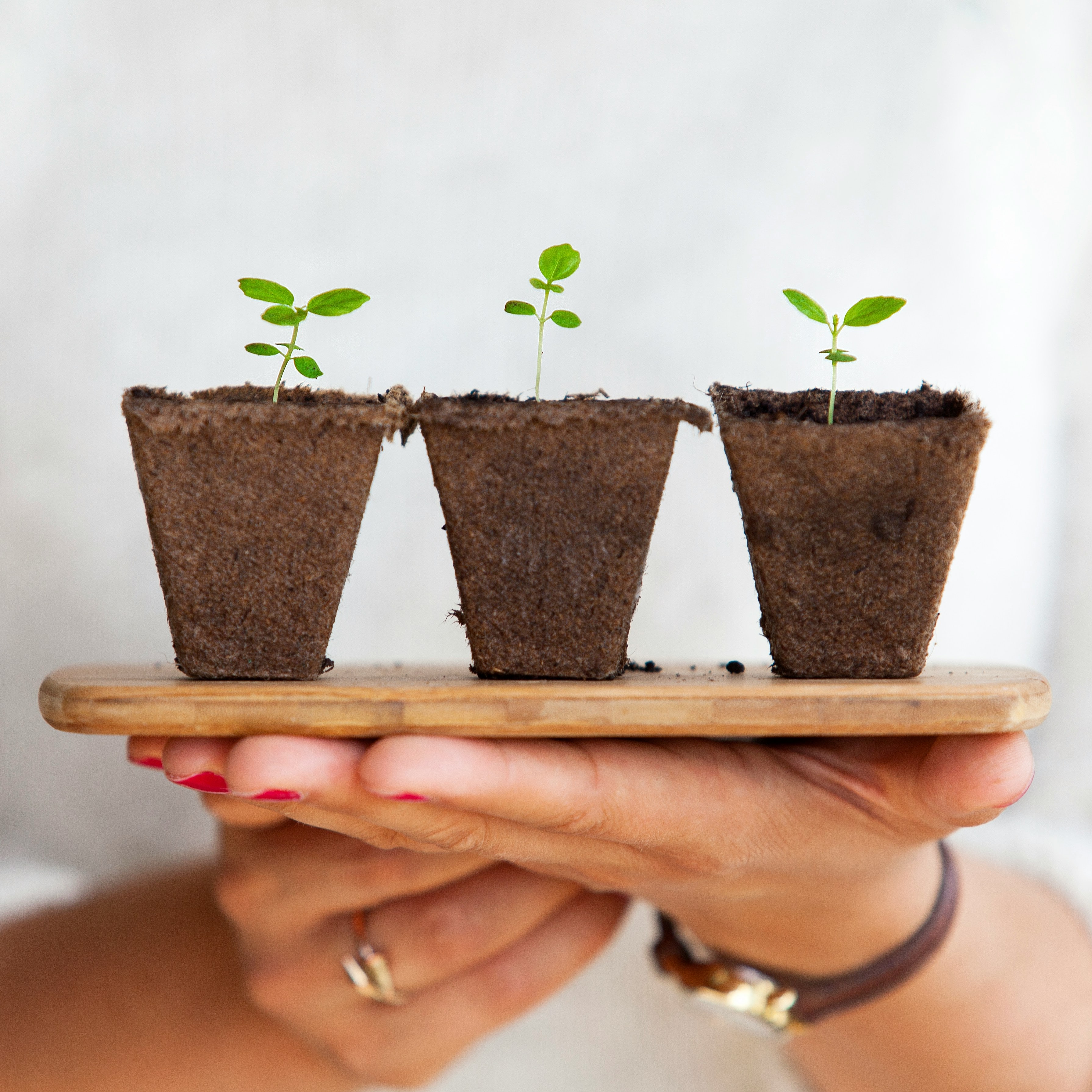 Accelerate client acquisition